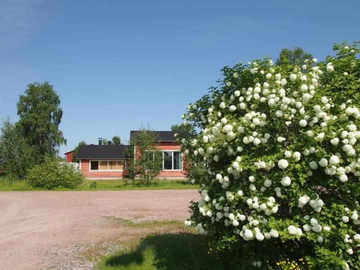 B&B Villa Helmi Ala-Temmes Exterior photo